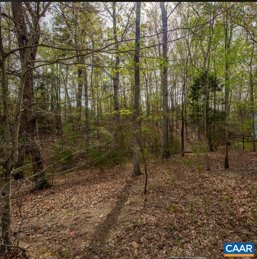 0 Turkeysag Trail Palmyra, VA 22963 - Photo 1 of 8 a backyard of a house with lots of green space