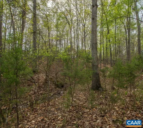 $50,000 | 0 Turkeysag Trail, Palmyra, VA 22963
