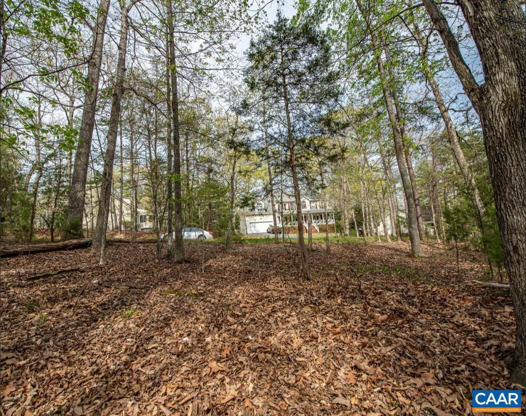 0 Turkeysag Trail Palmyra, VA 22963 - Photo 3 of 8 a backyard of a house with lots of green space