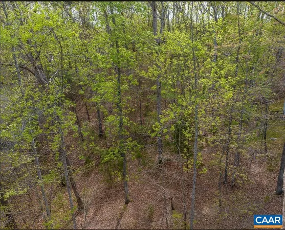$50,000 | 0 Turkeysag Trail, Palmyra, VA 22963