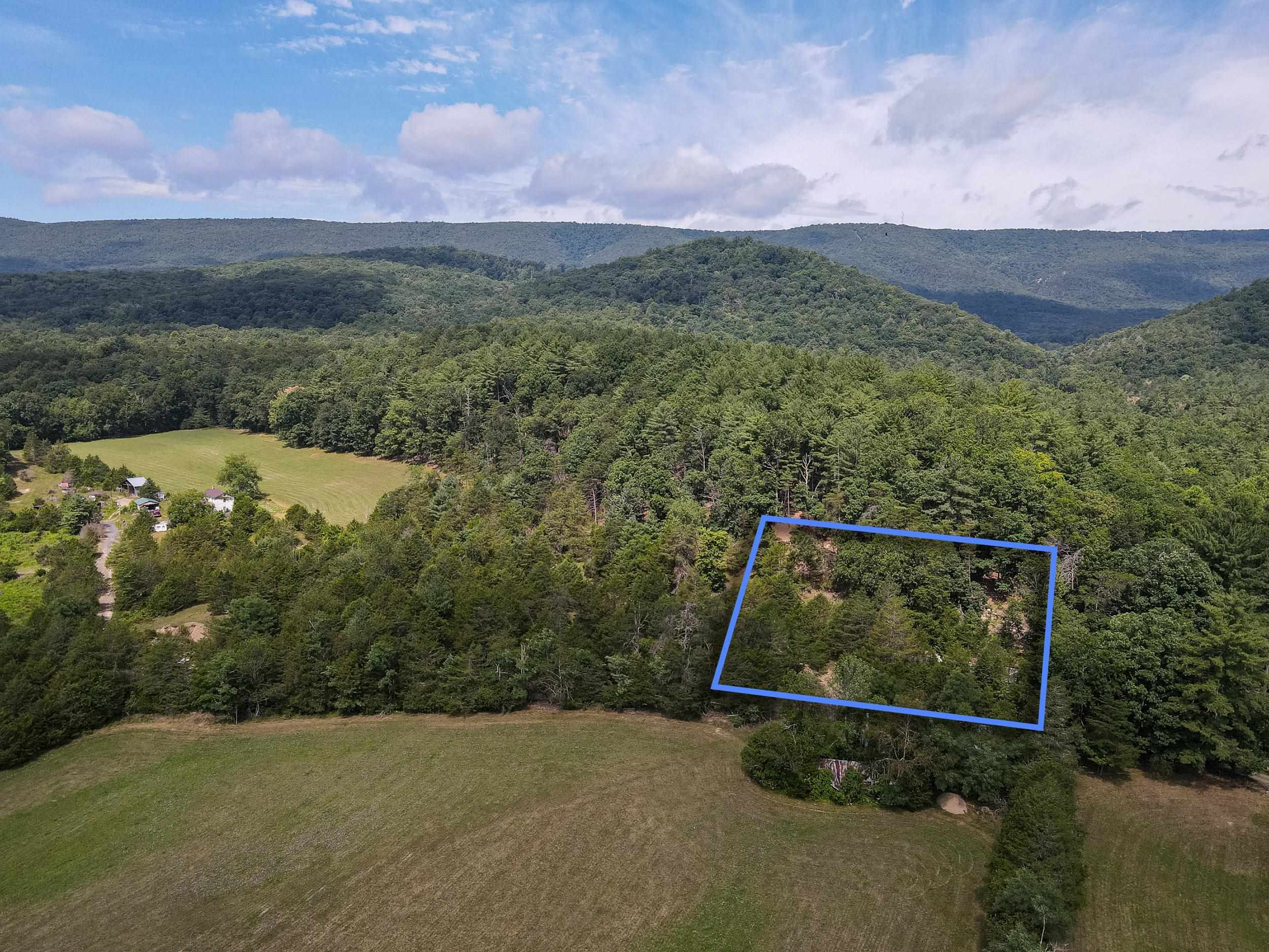 0 Alum Springs Road Basye, VA 22810 - Photo 2 of 25 Gallery Image 2