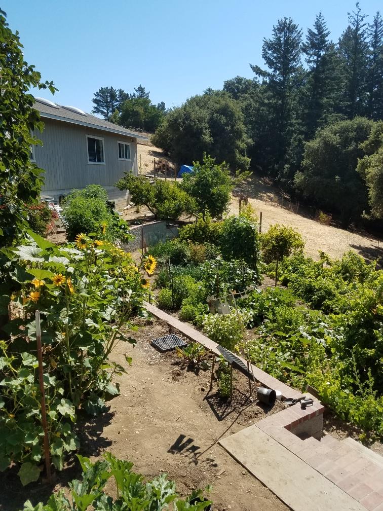24854 Skyland Road Los Gatos, CA 95033 - Photo 63 of 80