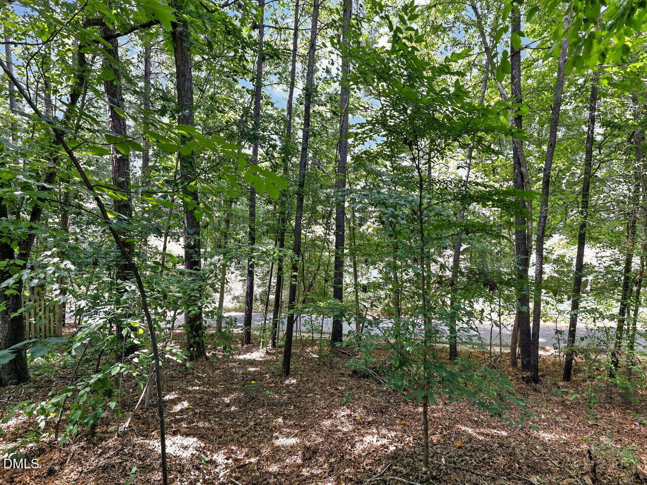 123 Homegate Circle Apex, NC 27502 - Photo 32 of 35