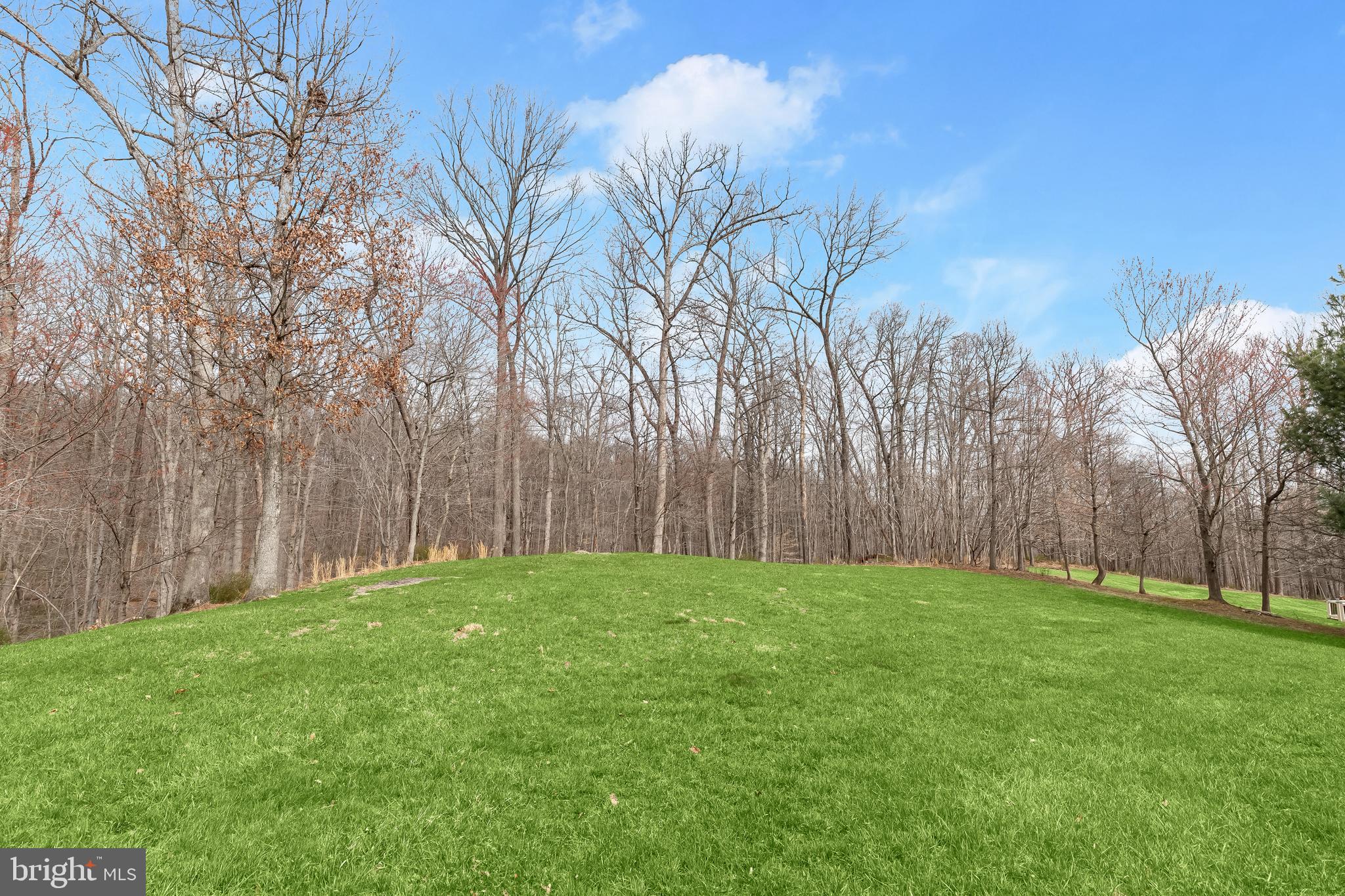 2312 Velvet Ridge Drive Owings Mills, MD 21117 - Photo 45 of 61 Rear