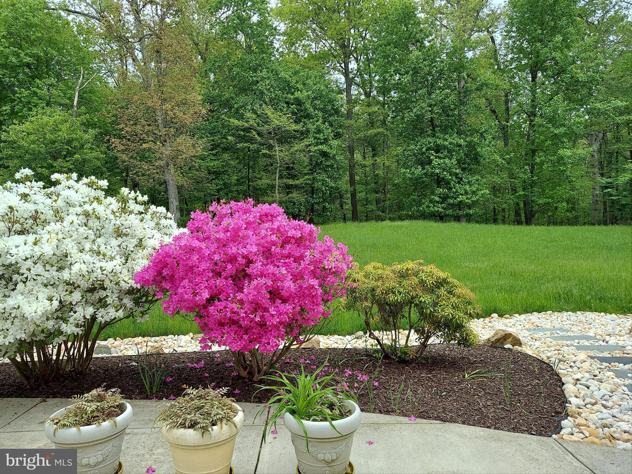 2312 Velvet Ridge Drive Owings Mills, MD 21117 - Photo 50 of 61 Spring Views