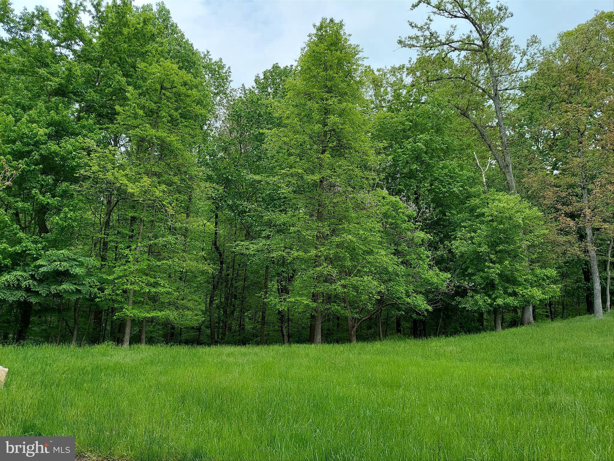2312 Velvet Ridge Drive Owings Mills, MD 21117 - Photo 51 of 61 Spring Views
