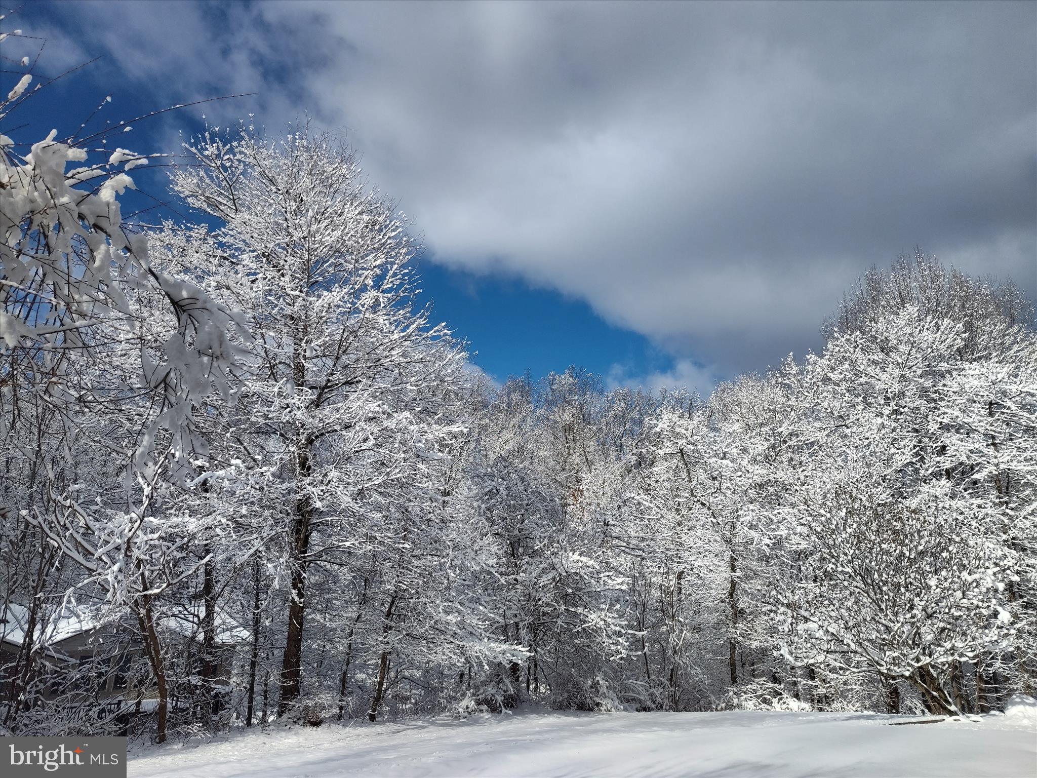 2312 Velvet Ridge Drive Owings Mills, MD 21117 - Photo 54 of 61 Winter Snow Views - Rear