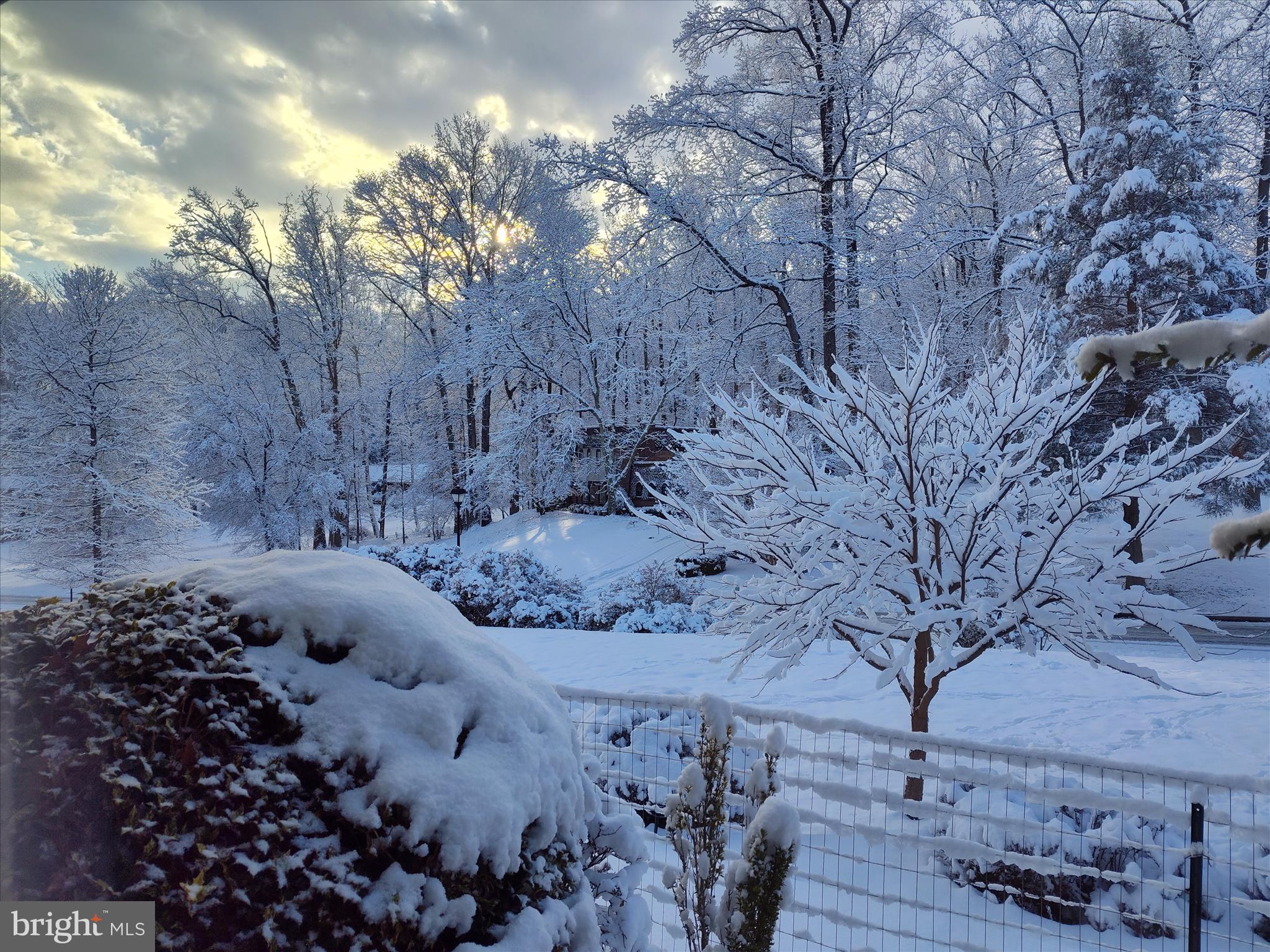 2312 Velvet Ridge Drive Owings Mills, MD 21117 - Photo 55 of 61 Winter Snow Views - Front