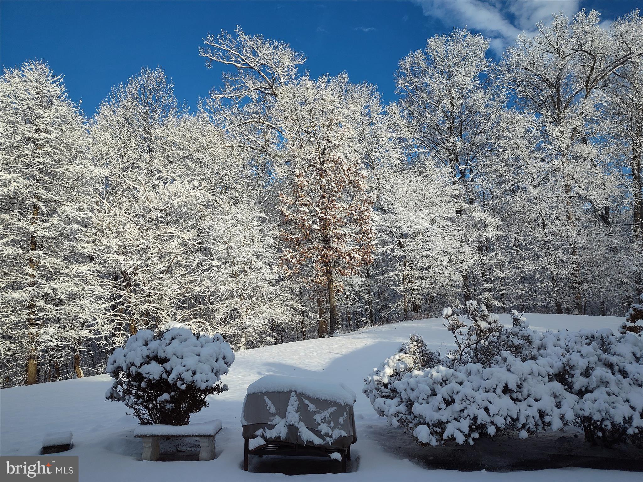 2312 Velvet Ridge Drive Owings Mills, MD 21117 - Photo 57 of 61 Winter Snow Views - Rear