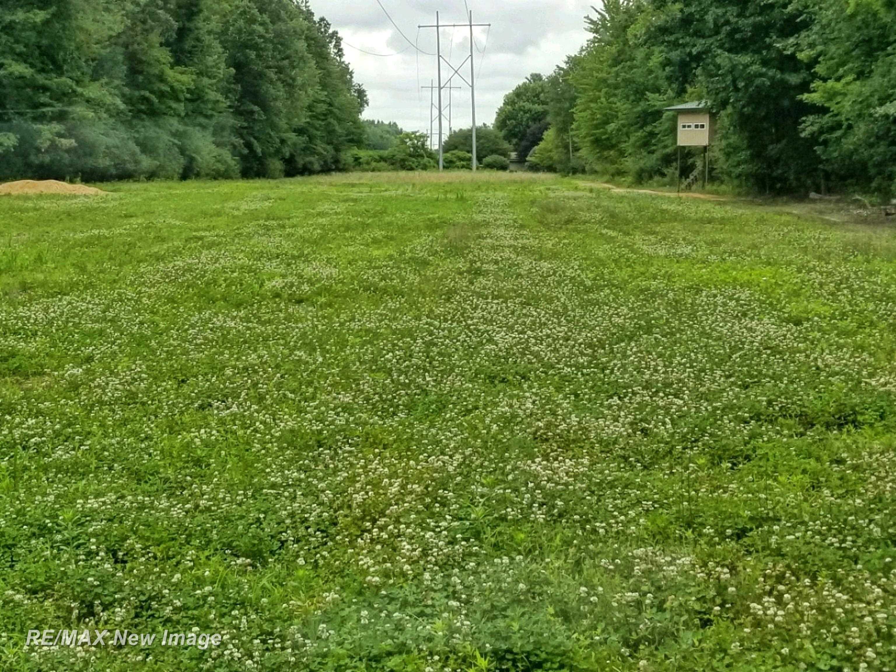 Vl Busch Road Birch Run, MI 48415 - Photo 31 of 34