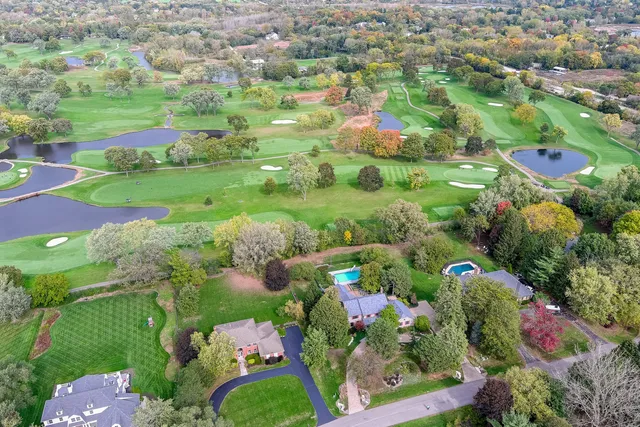a view of a garden with flowers and flowers