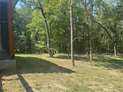 a view of a forest with trees in the background