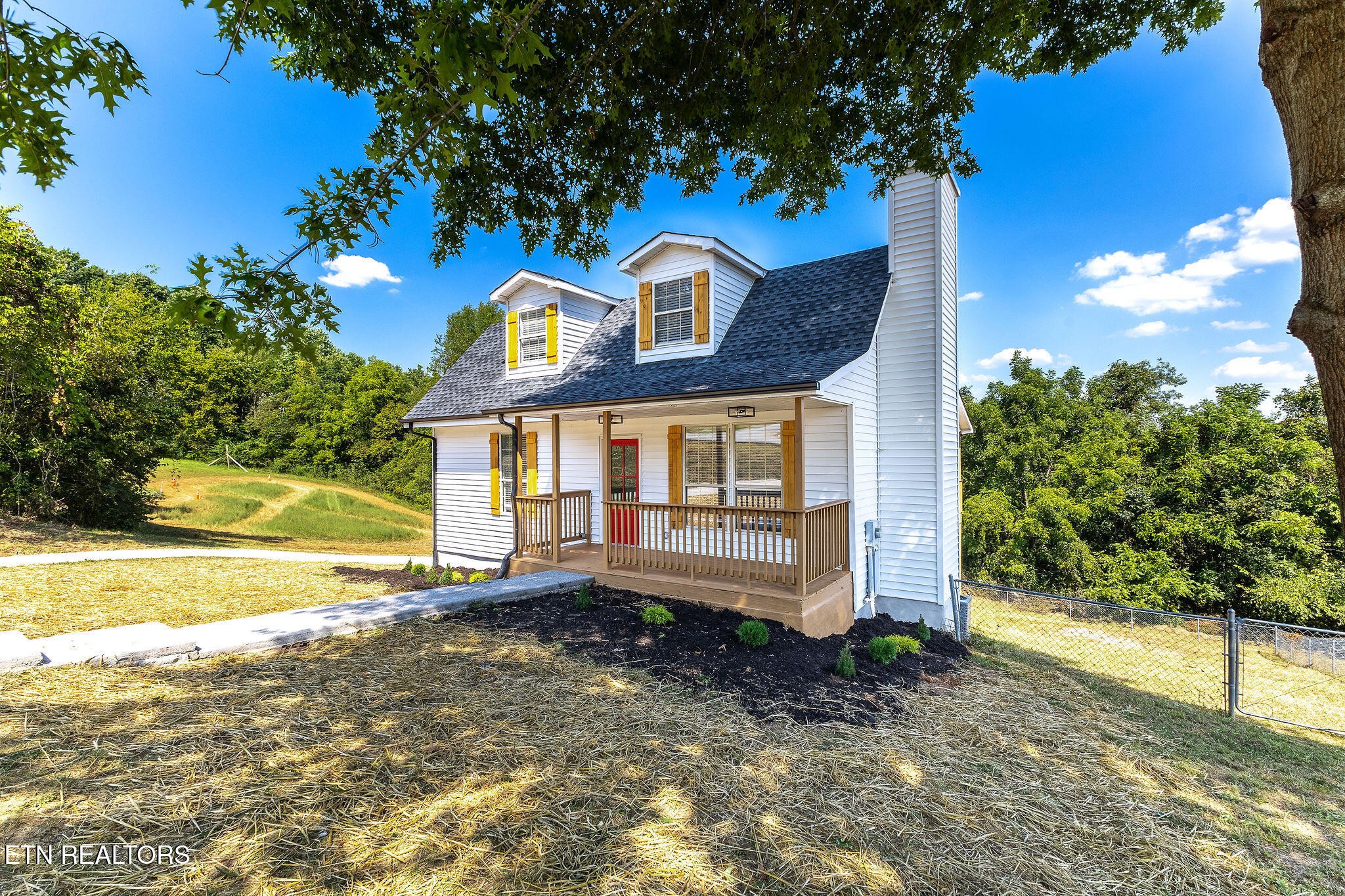 330 Ritz View Drive Blaine, TN 37709 - Photo 3 of 43 Gallery Image 3