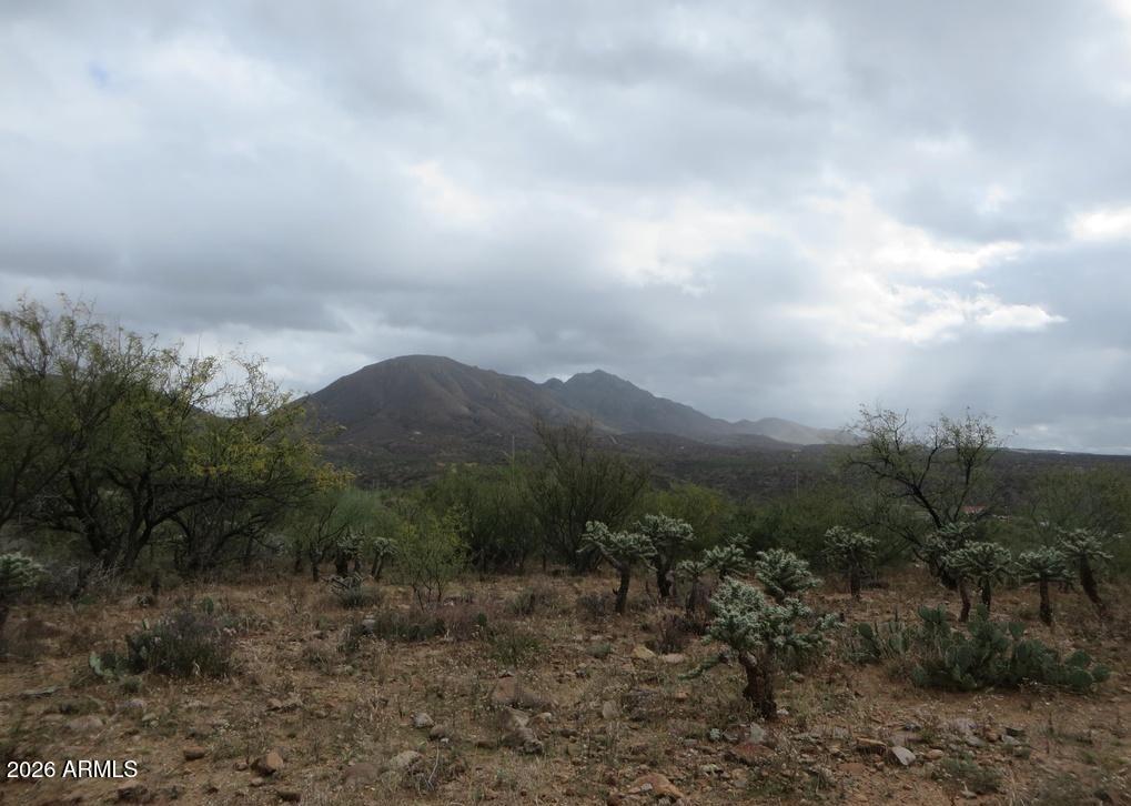 20 Baca Road Nogales, AZ 85621 - Photo 11 of 11 a view of a dry yard with green space