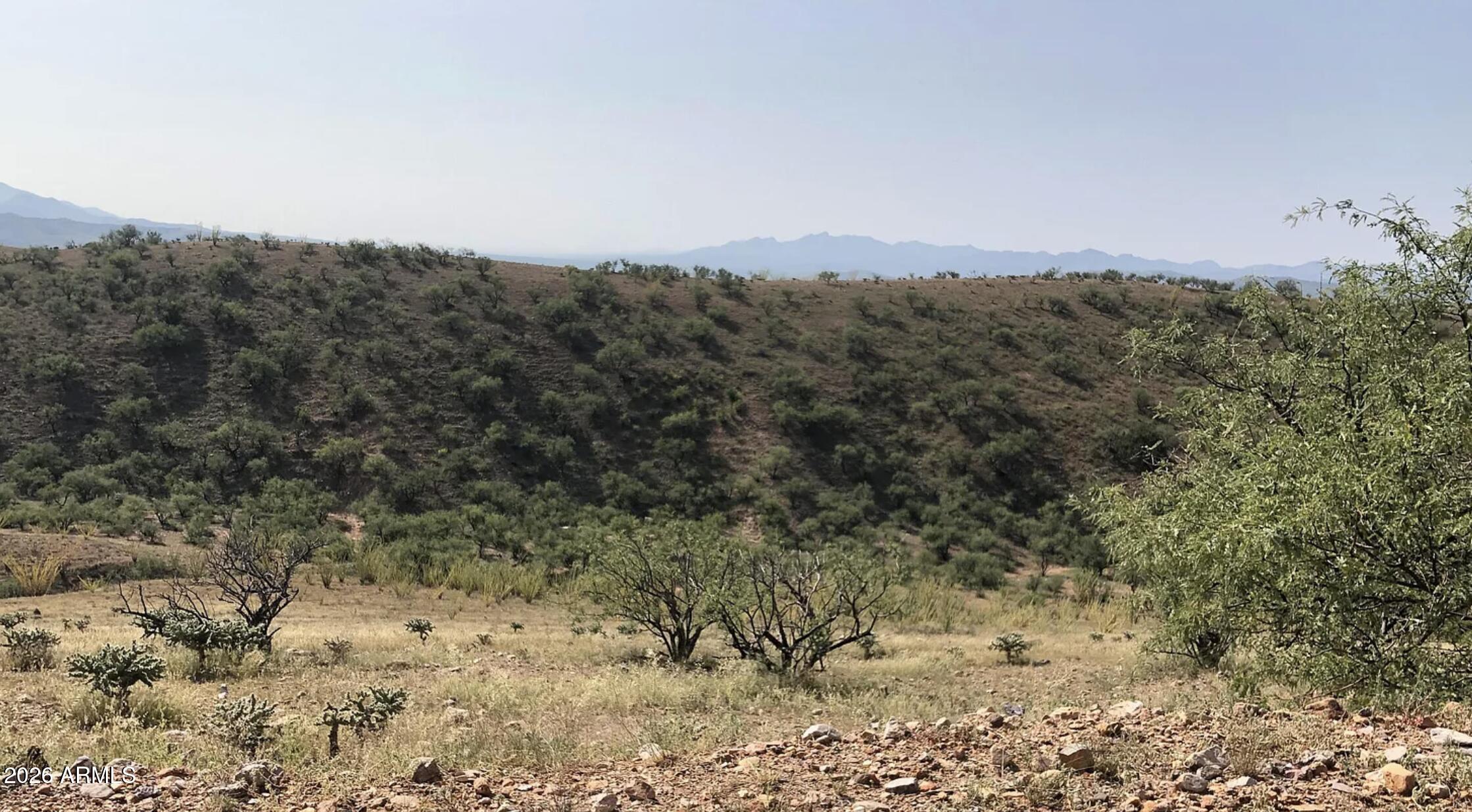 20 Baca Road Nogales, AZ 85621 - Photo 5 of 11 a view of a dry field with trees in background