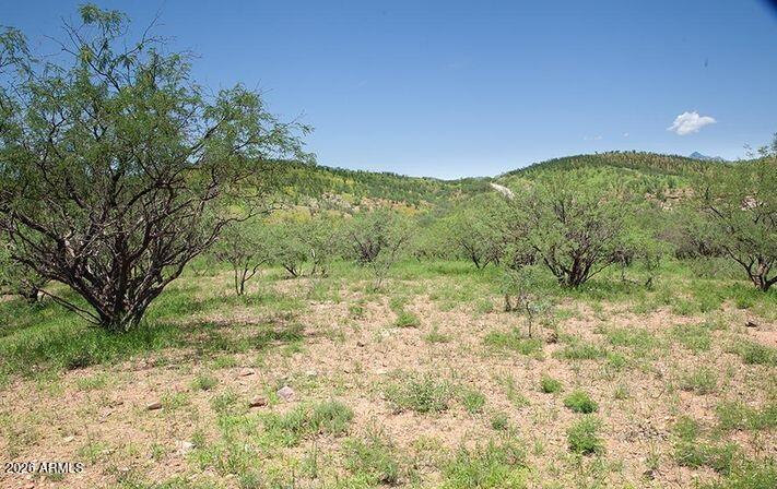20 Baca Road Nogales, AZ 85621 - Photo 7 of 11 a view of a yard