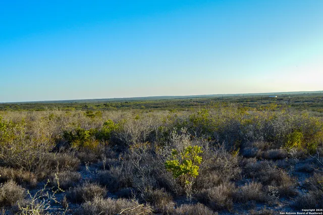 a view of an ocean and trees