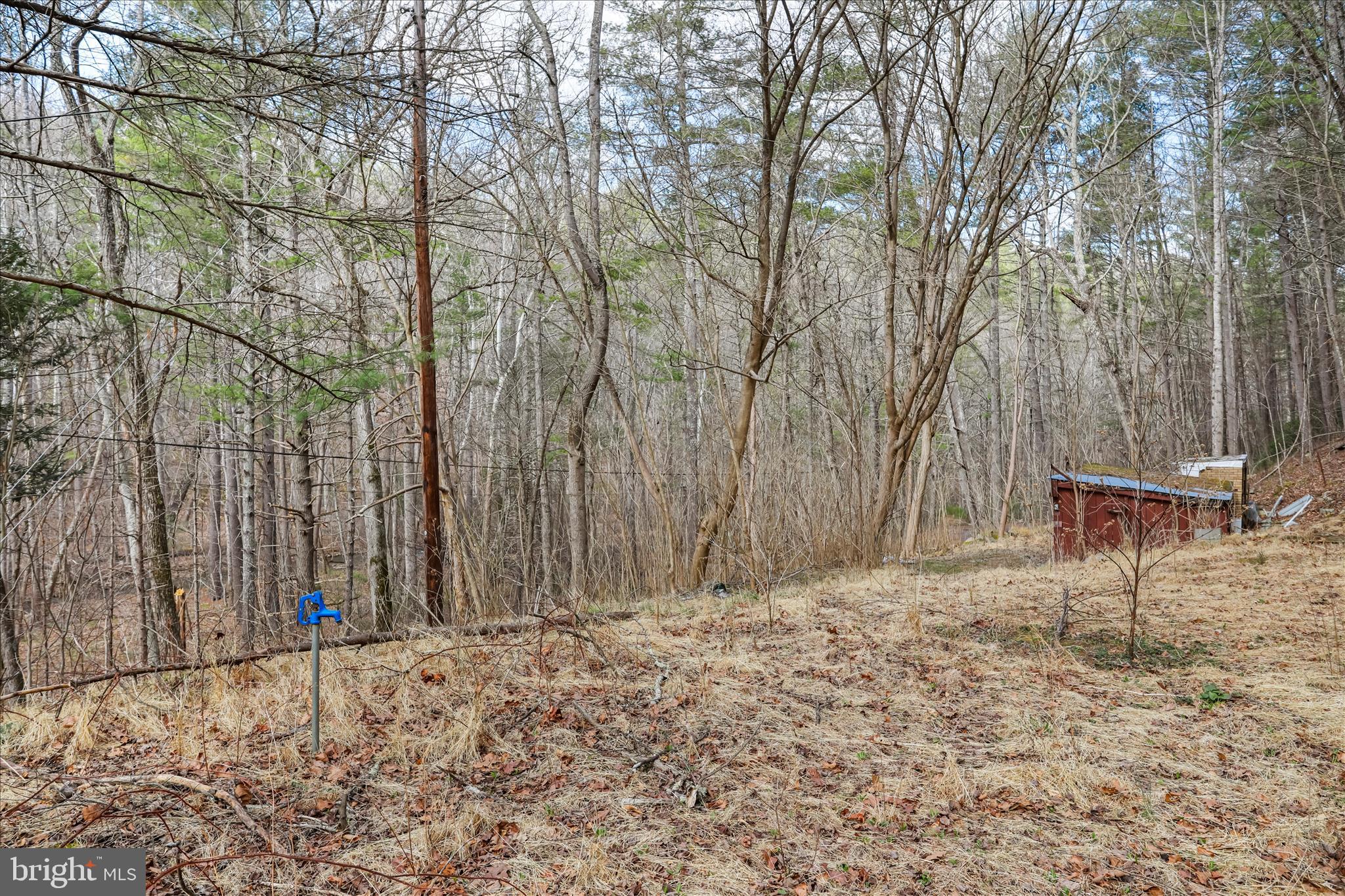 3699 Waites Run Road Wardensville, WV 26851 - Photo 17 of 43 3.8 Acres
