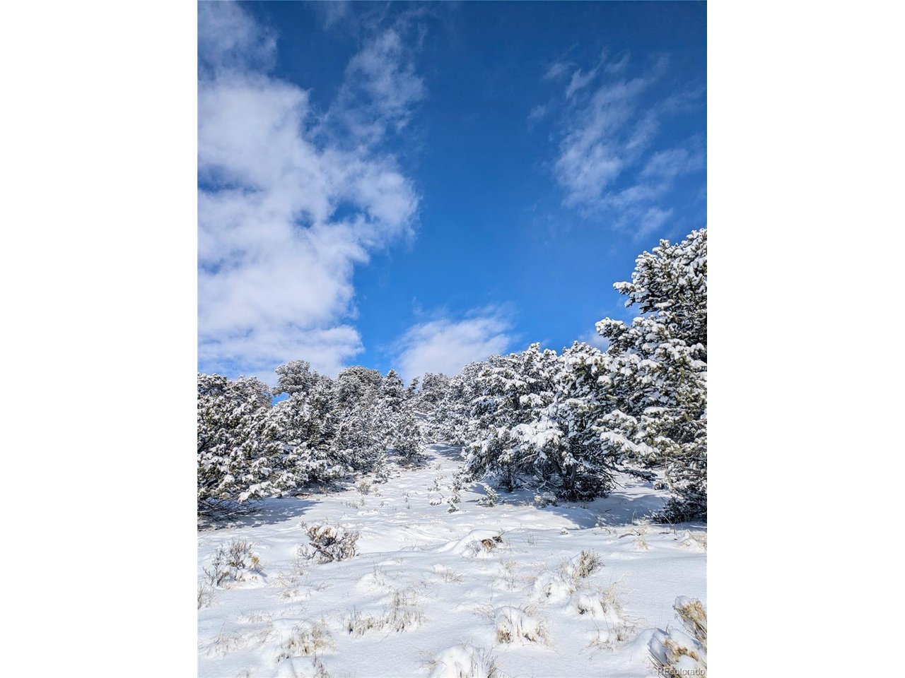 2001 Lost Cave Way Crestone, CO 81131 - Photo 11 of 20 a view of lot of snow