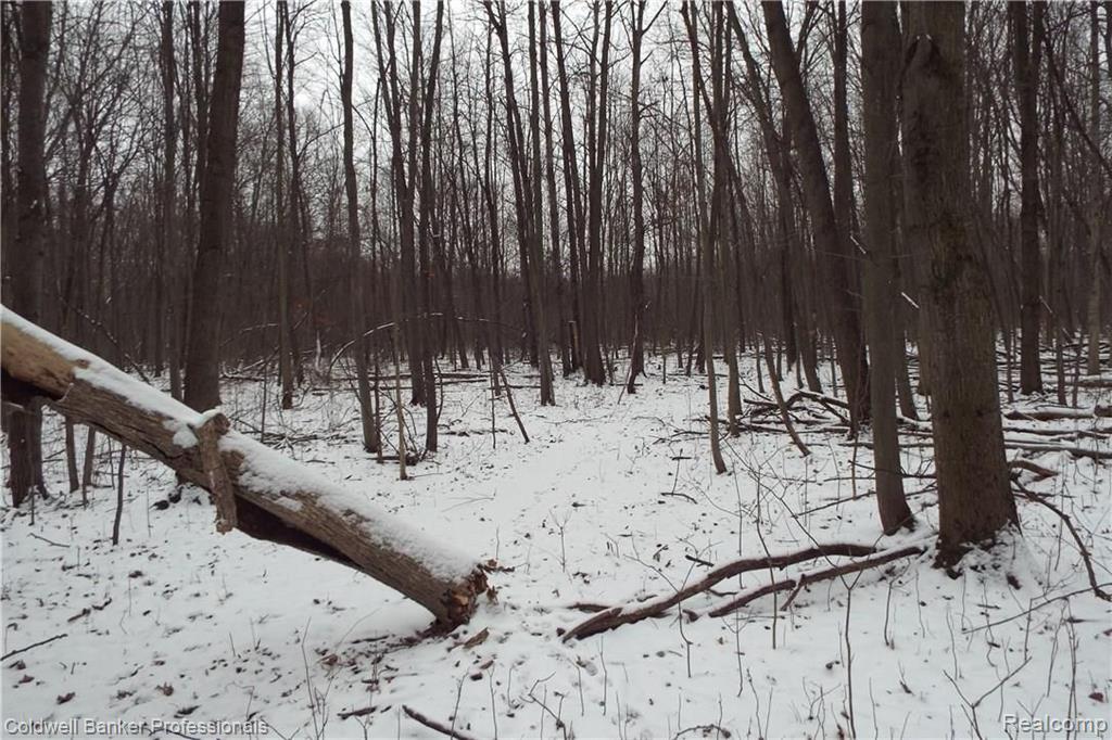 Eight West Eight Mile Road South Lyon, MI 48178 - Photo 28 of 58