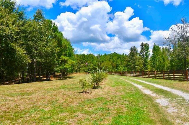 2028 Hardwater Lake Road Pollock, LA 71467 - Photo 49 of 54 Gallery Image 49