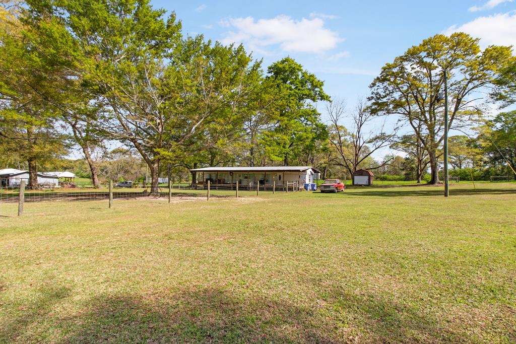 158 Brown Road Clio, AL 36017 - Photo 74 of 75