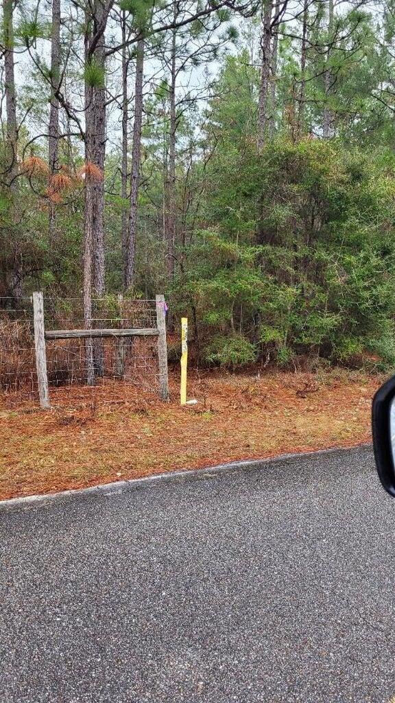 0 Hawthorn Road DeFuniak Springs, FL 32435 - Photo 3 of 6 a view of a park