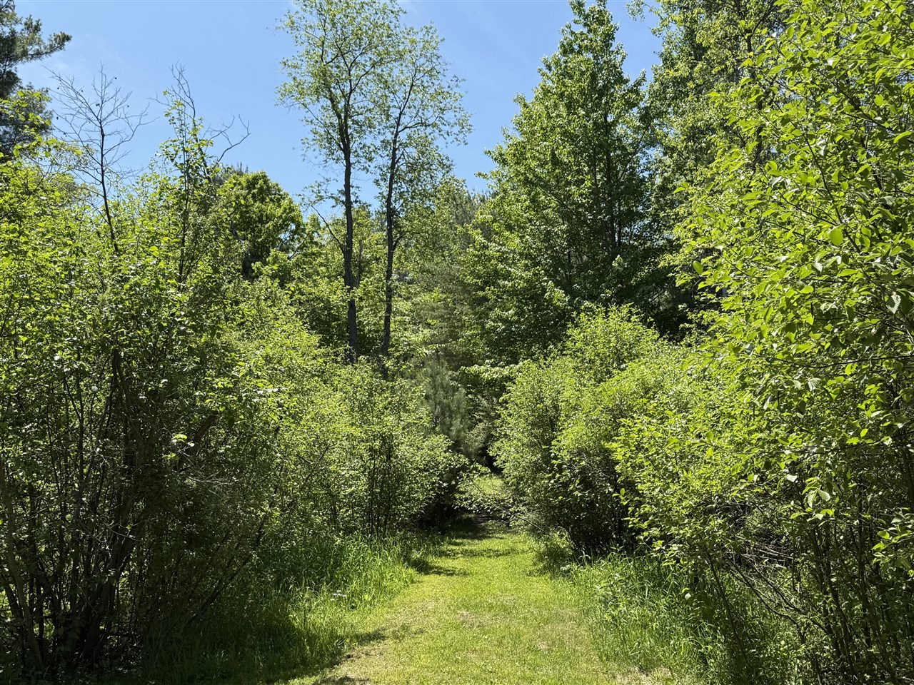 3345 West Madison Road Hart, MI 49420 - Photo 41 of 46