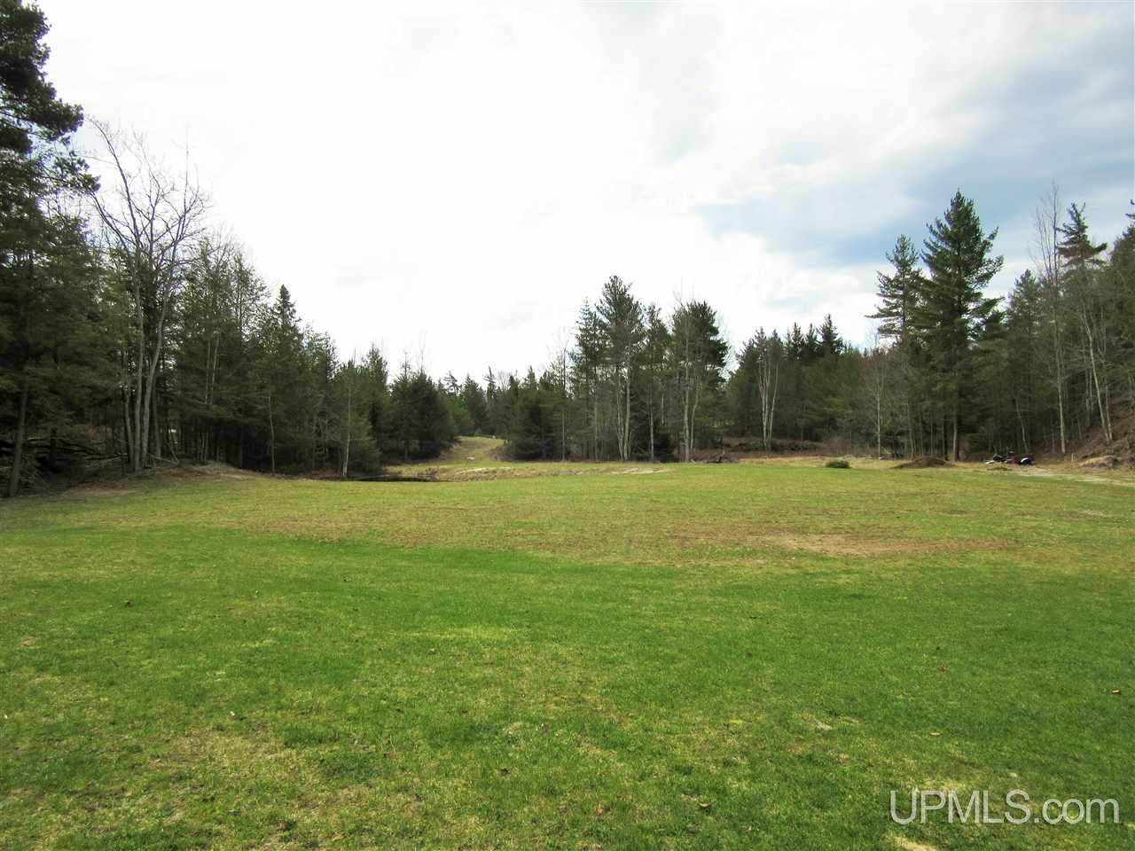 540 East Gulliver Lake Road Gulliver, MI 49840 - Photo 6 of 30