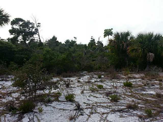 0 Northeast Savannah Road Jensen Beach, FL 34957 - Photo 1 of 7 a view of a tree covered with green space