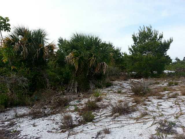 0 Northeast Savannah Road Jensen Beach, FL 34957 - Photo 2 of 7 a big yard with lots of green space