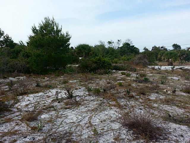 0 Northeast Savannah Road Jensen Beach, FL 34957 - Photo 3 of 7 a view of a big yard with lots of green space