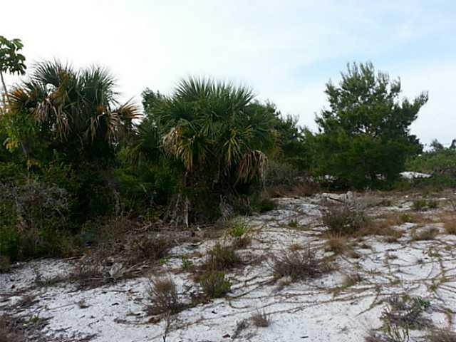 0 Northeast Savannah Road Jensen Beach, FL 34957 - Photo 4 of 7 a big yard with lots of green space
