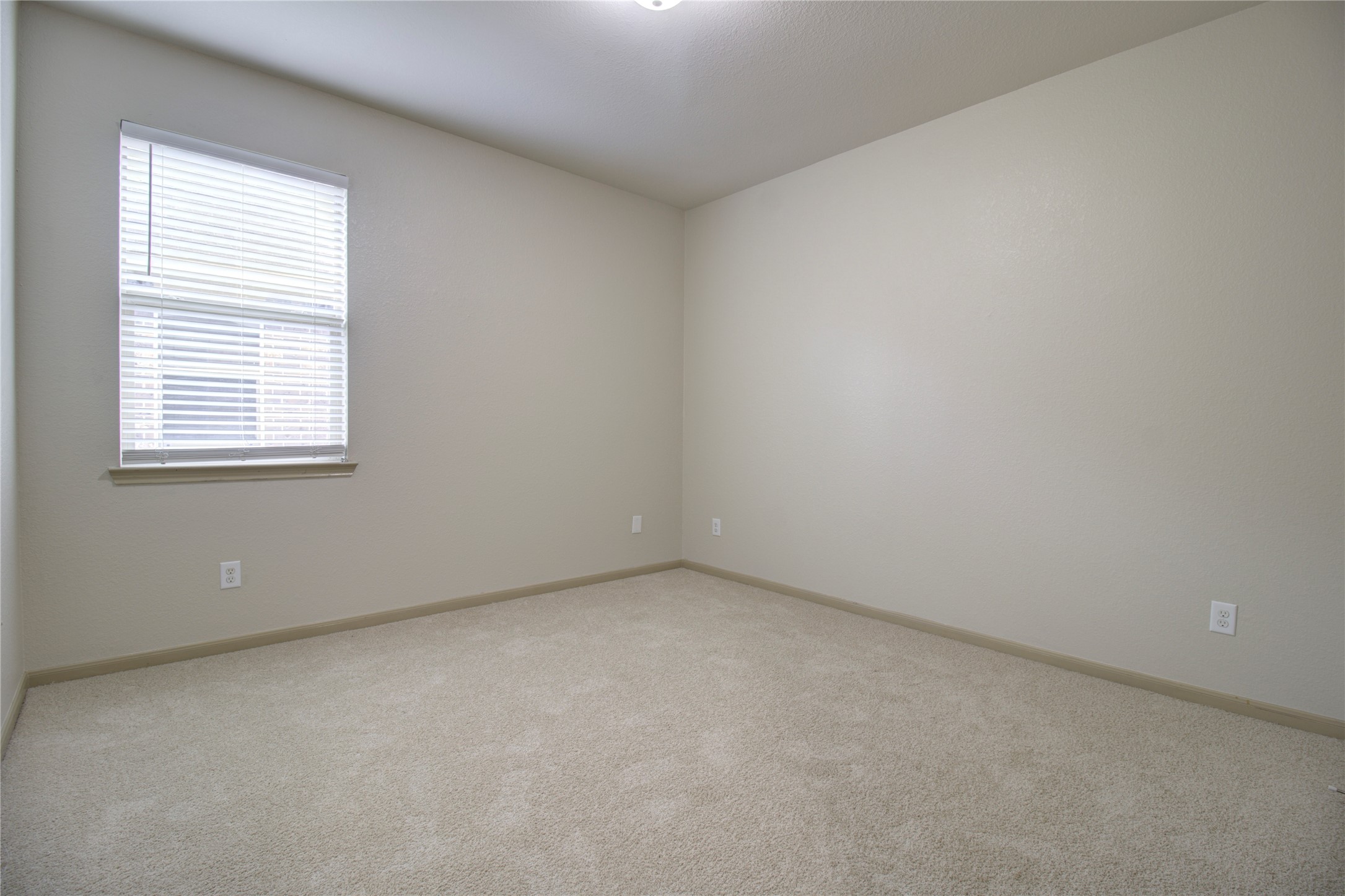20311 Little Wing Drive Spring, TX 77388 - Photo 16 of 19
