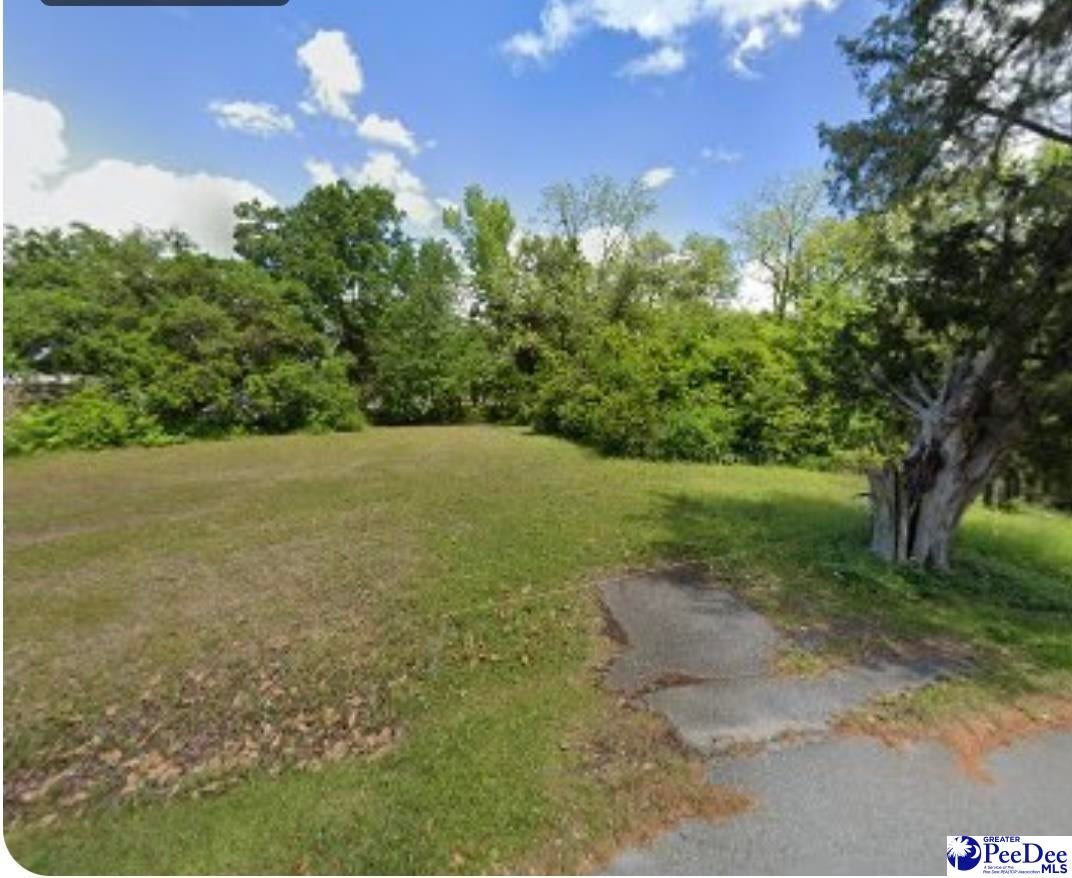 903 County Rd S-45-765 Kingstree, SC 29556 - Photo 1 of 1 Gallery Image 1