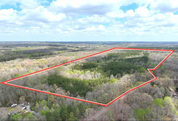 a view of a dry yard