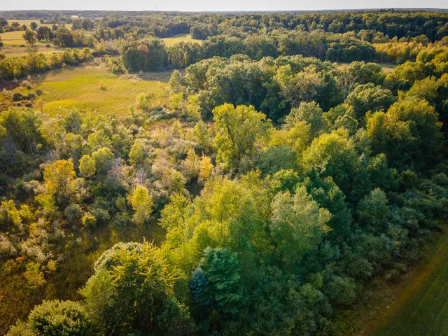 $649,000 | 5820 Squires Road, Jackson, MI 49201