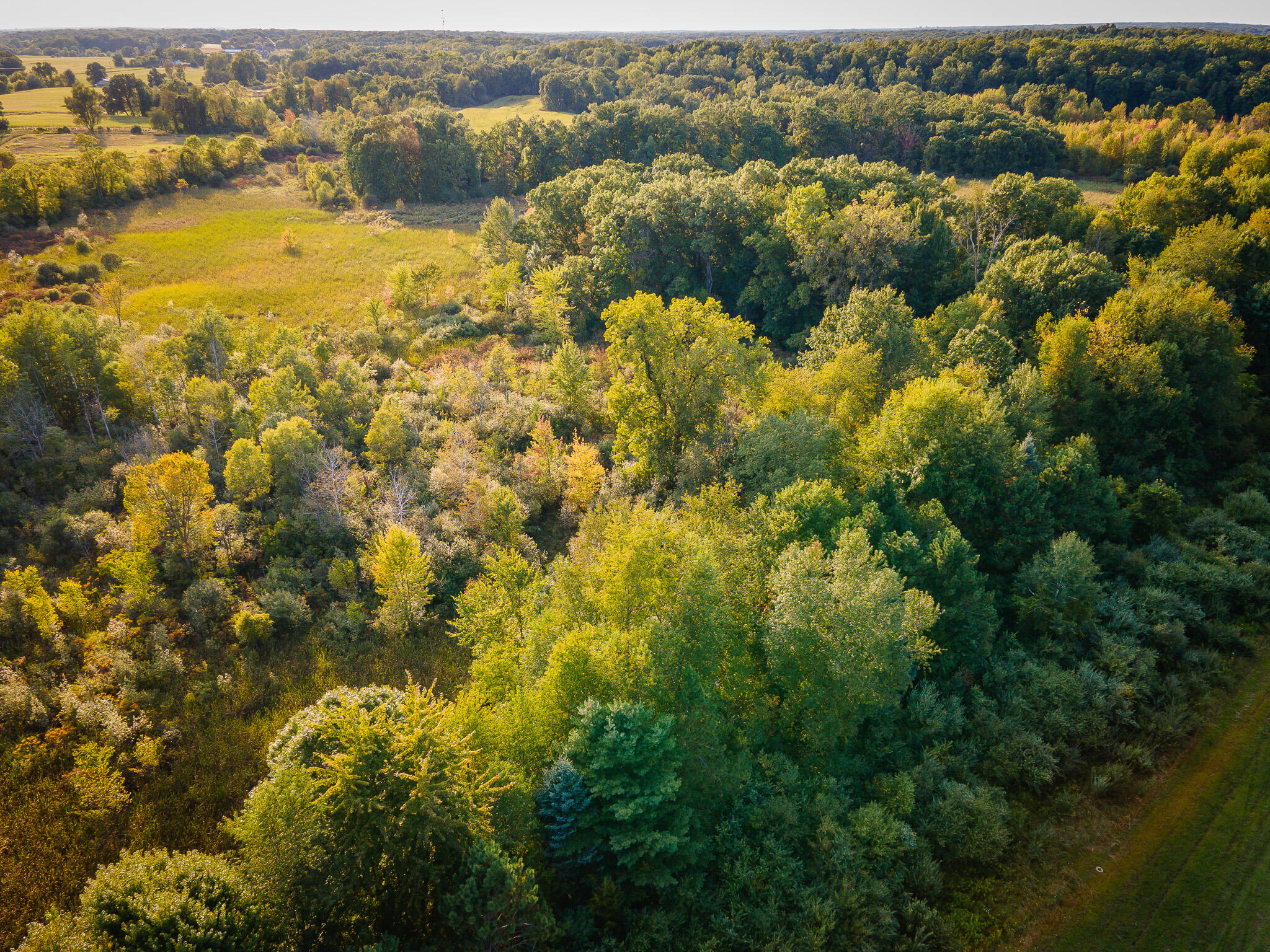 5820 Squires Road Jackson, MI 49201 - Photo 13 of 79 DJI_0542