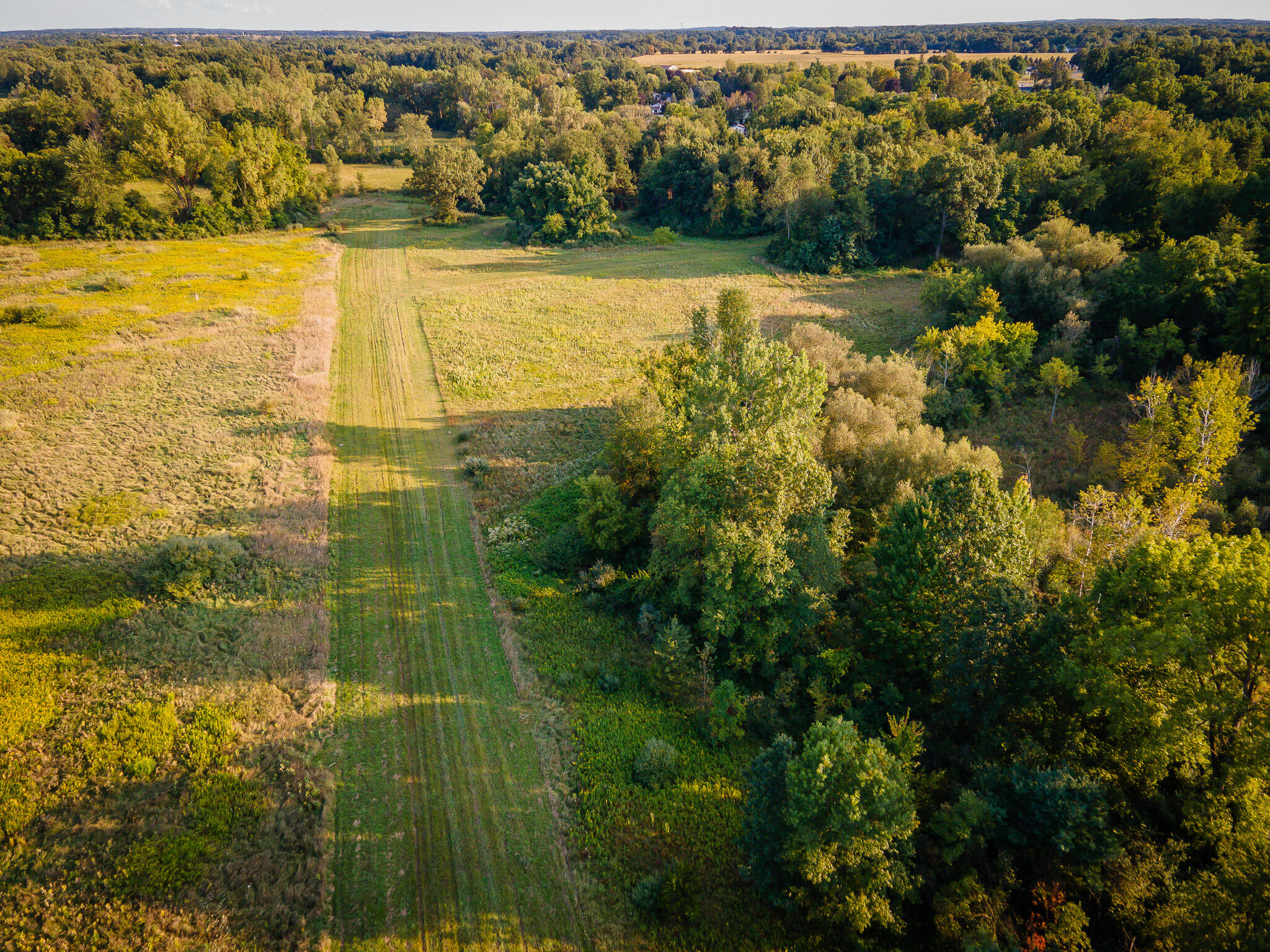 5820 Squires Road Jackson, MI 49201 - Photo 14 of 79 DJI_0543