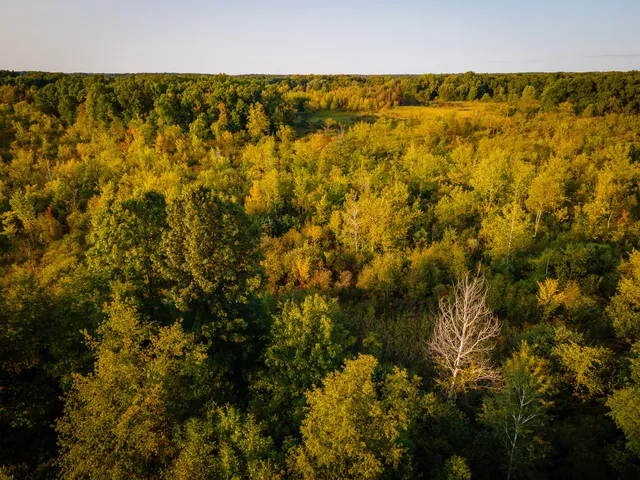 $649,000 | 5820 Squires Road, Jackson, MI 49201