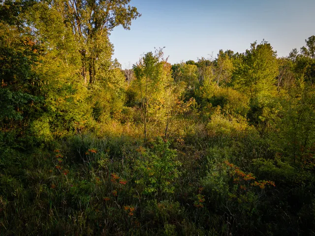 $649,000 | 5820 Squires Road, Jackson, MI 49201