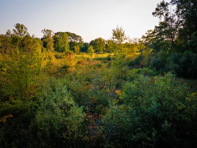 $649,000 | 5820 Squires Road, Jackson, MI 49201