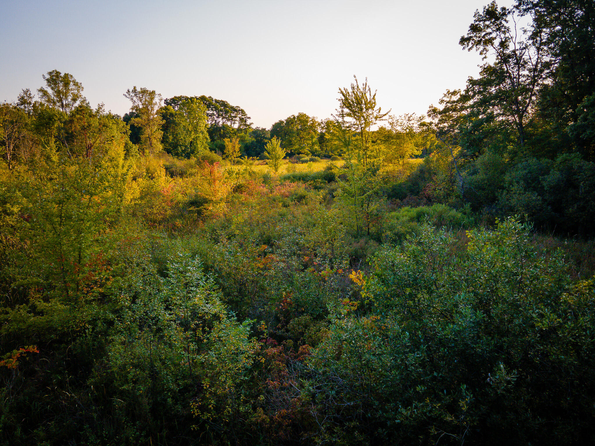 5820 Squires Road Jackson, MI 49201 - Photo 27 of 79 DJI_0567