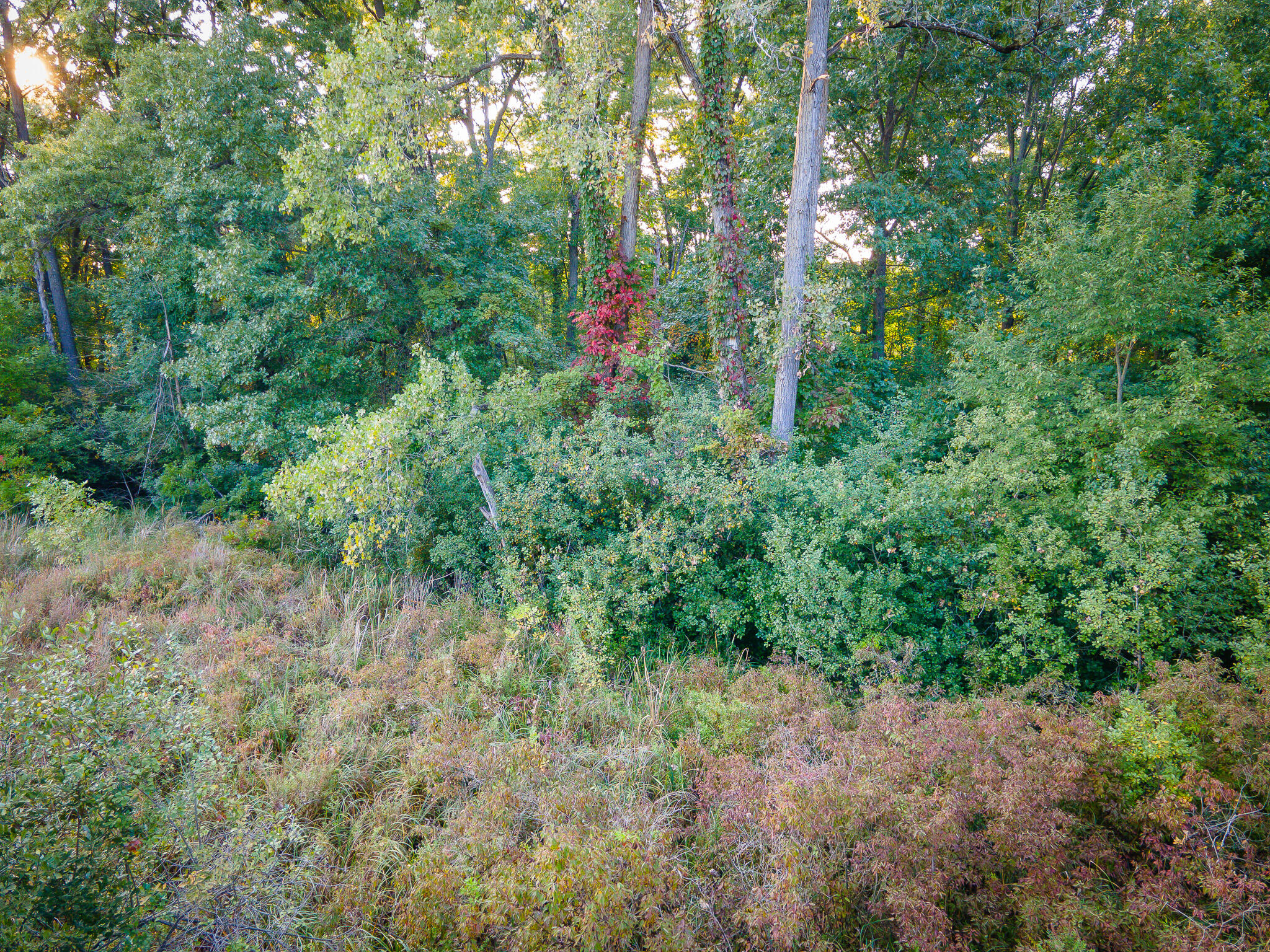 5820 Squires Road Jackson, MI 49201 - Photo 28 of 79 DJI_0568