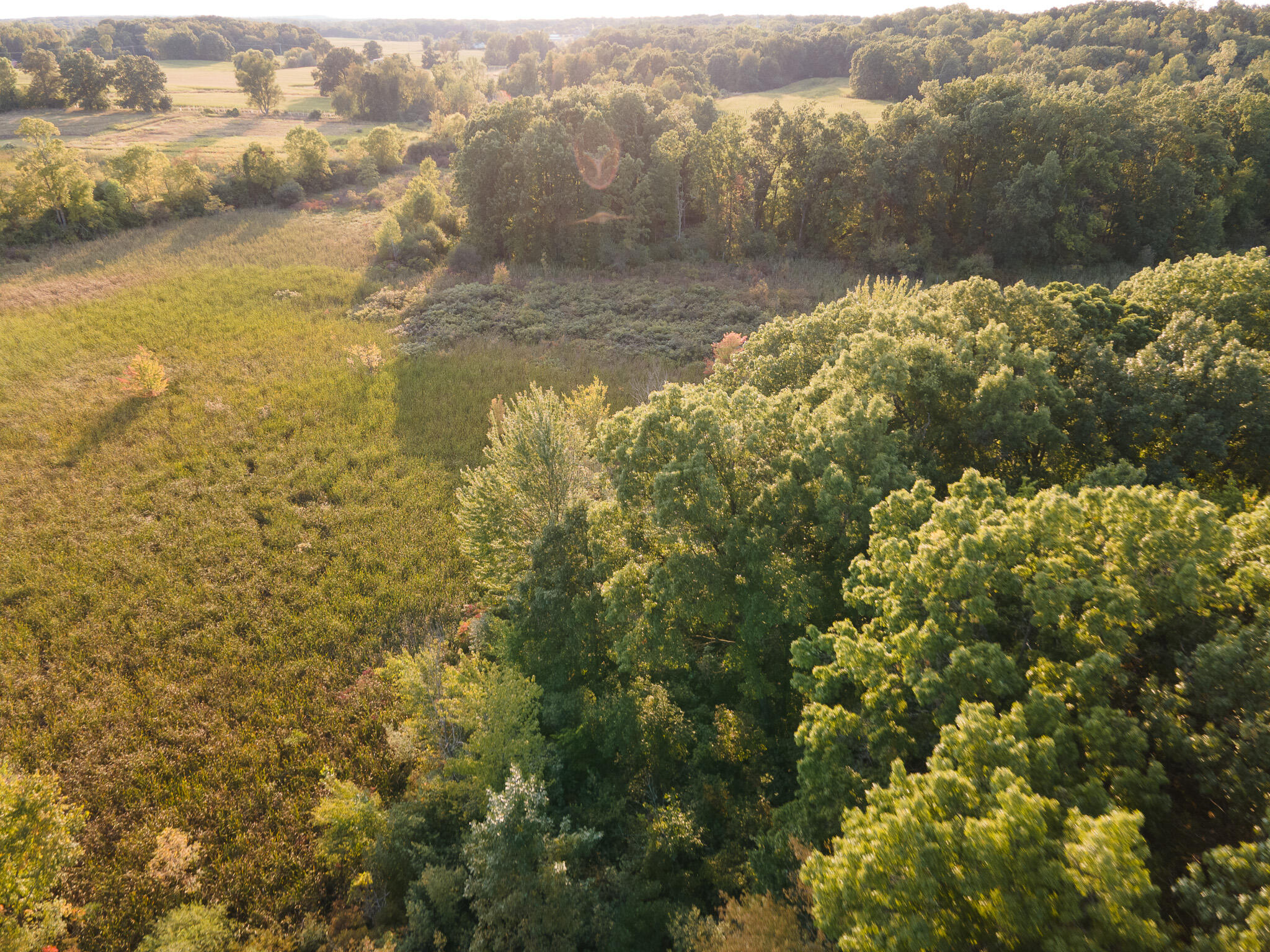 5820 Squires Road Jackson, MI 49201 - Photo 29 of 79 DJI_0569