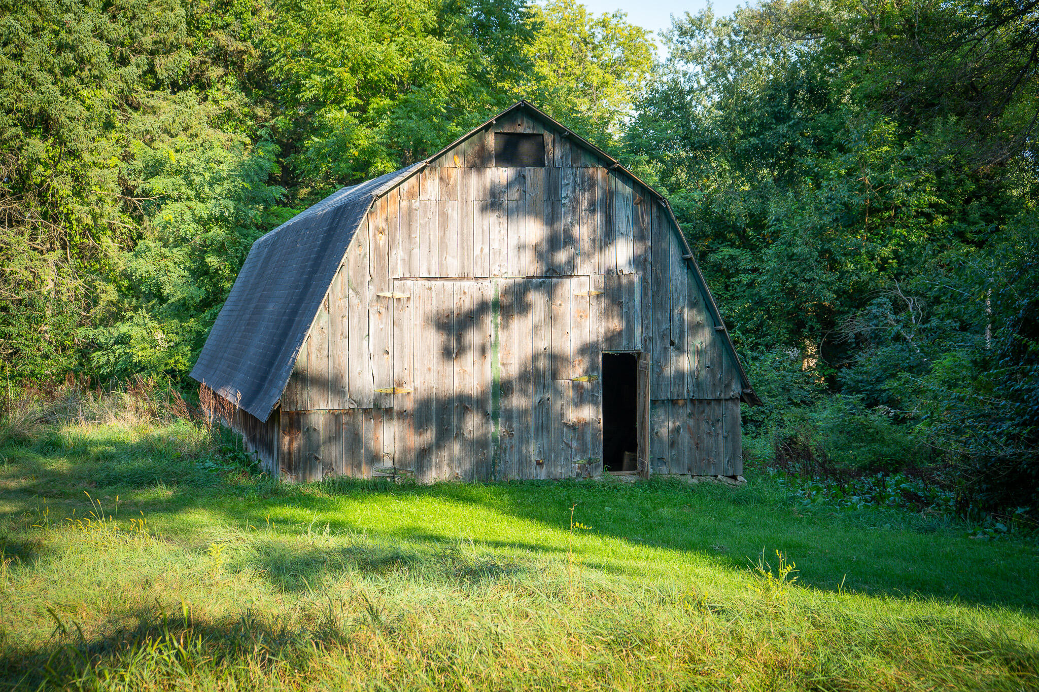 5820 Squires Road Jackson, MI 49201 - Photo 40 of 79 DSC07188