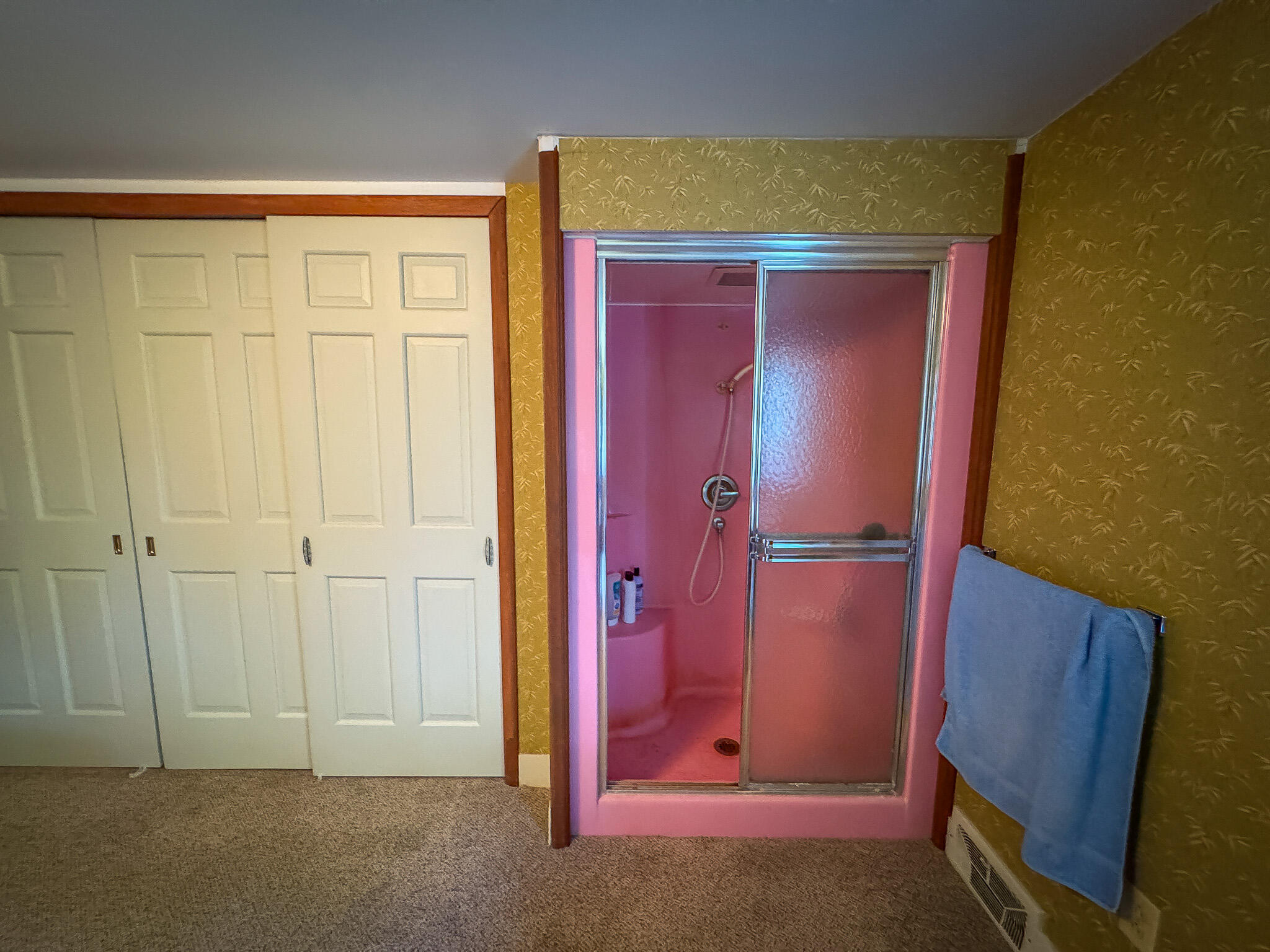 5820 Squires Road Jackson, MI 49201 - Photo 48 of 79 IMG_3937