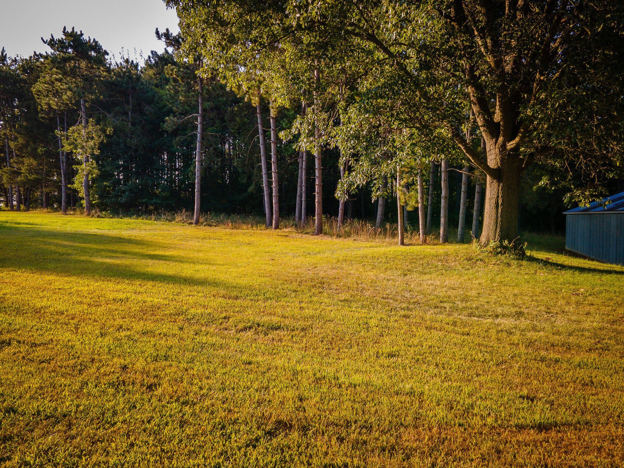 5820 Squires Road Jackson, MI 49201 - Photo 7 of 79 DJI_0531