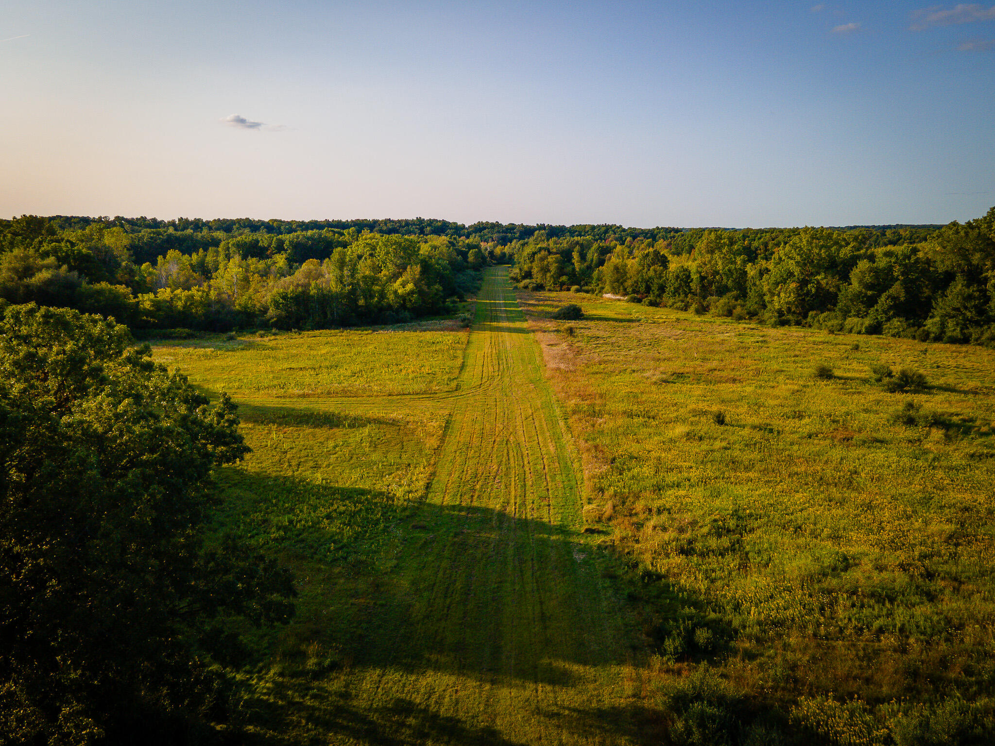 5820 Squires Road Jackson, MI 49201 - Photo 8 of 79 DJI_0534