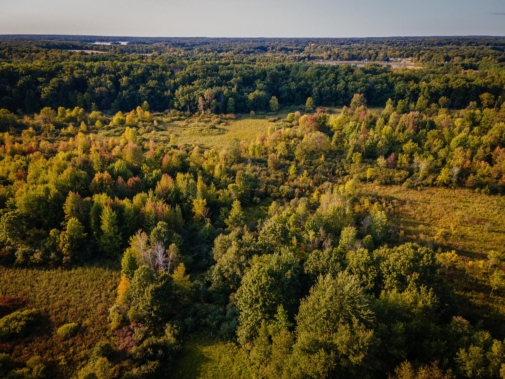 5820 Squires Road Jackson, MI 49201 - Photo 9 of 79 DJI_0536